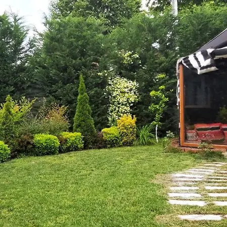 Lavanta Sapanca